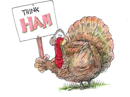 Image result for ham radio turkey